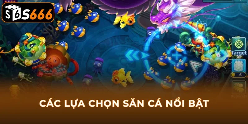 Các lựa chọn săn cá nổi bật